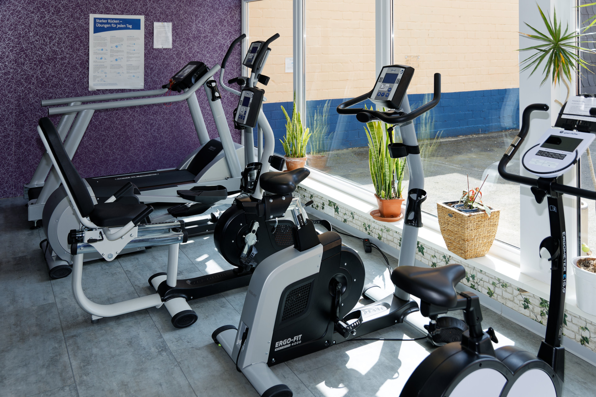 Laufband, Crosstrainer, Sitzergometer und Ergometer in Reihe aufgestellt